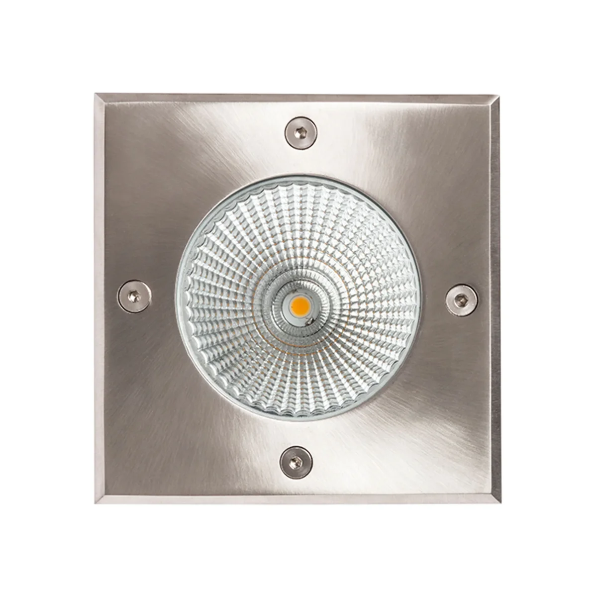 RIZZ SQ 125 - Image 6